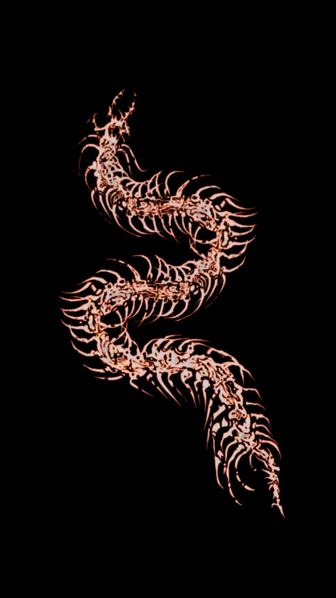 Centipede